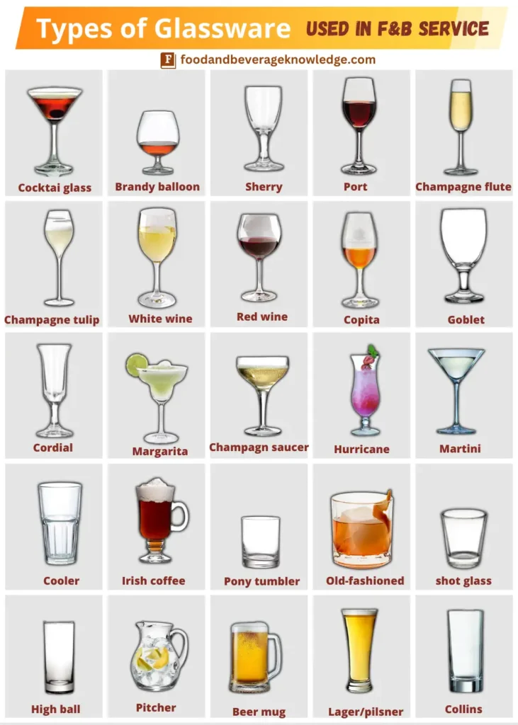 infographic showing different types of glasses used in food and beverage service