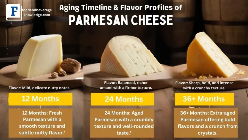 aging and flavour of parmesan cheese infographic