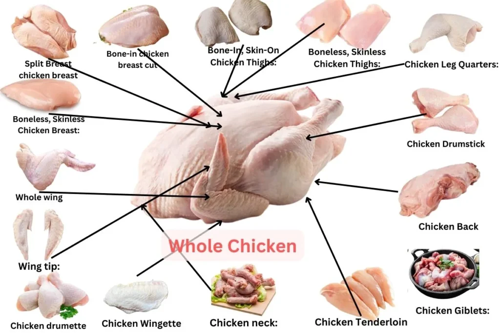 different-cuts-of-chicken-graphic
