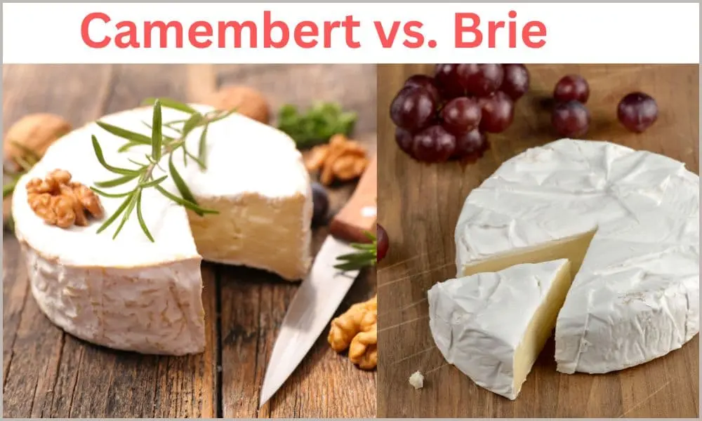 camembert-vs-brie-cheese